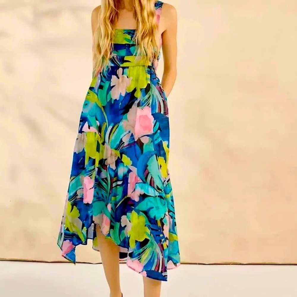 Anthropologie Midi dress